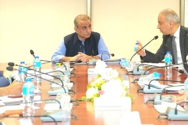 نجکاری کا عمل تین مراحل میں،ادارے اونے پونے داموں نہیں دیں گے:عبدالعلیم خان نجکاری کا عمل تین مراحل میں،ادارے اونے پونے داموں نہیں دیں گے:عبدالعلیم خان