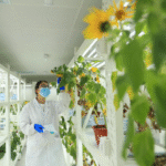 چین بیج کی صنعت میں جدت طرازی میں عالمی رہنما کے طور پر ابھرا ہے۔