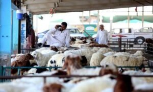 حکومت کا اسلام آباد کے شہریوں کو محفوظ، حفظان صحت کے اصولوں کے مطابق اور ریگولیٹڈ گوشت کی فراہمی یقینی بنانے کے لیے جدید ذبح خانہ اور ہول سیل میٹ مارکیٹ قائم کرنے کا منصوبہ