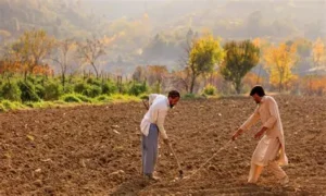 ملک بھر میں مٹی کی زرخیزی اور فصلوں کی پیداوار بڑھانے کے لیے 1.3 ارب روپے کا منصوبہ تیار