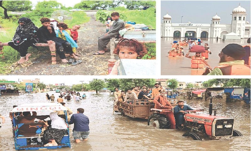 پنجاب میں مستقبل کے سیلابی نقصانات سے بچاؤ کے لیے 119 حفاظتی ڈھانچوں کی تعمیر و بحالی مکمل