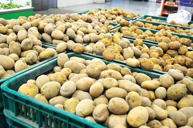 پاکستان میں فرنچ فرائز اور چپس کی صنعت کے لئے آلو کی چار نئی اقسام تیار
